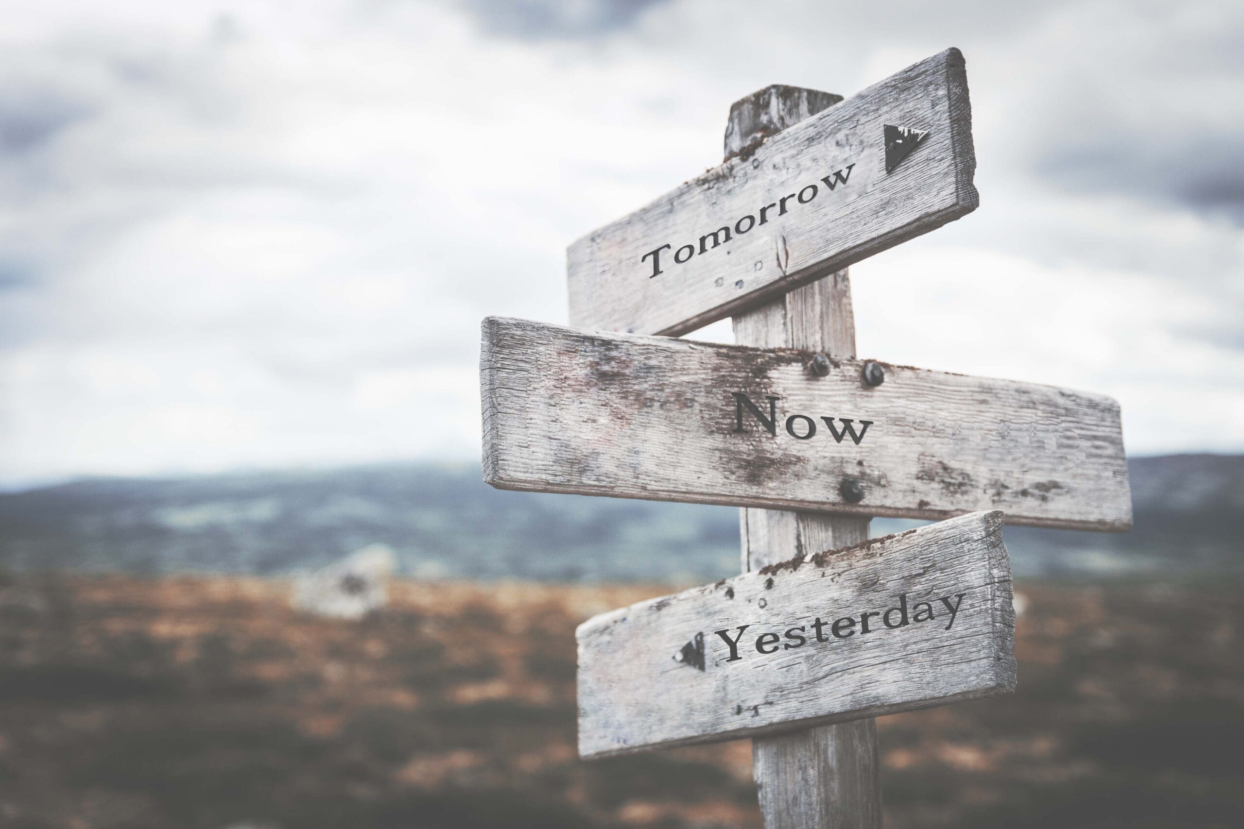 Tomorrow, now, yesterday signpost in nature. Future, present, past concept.