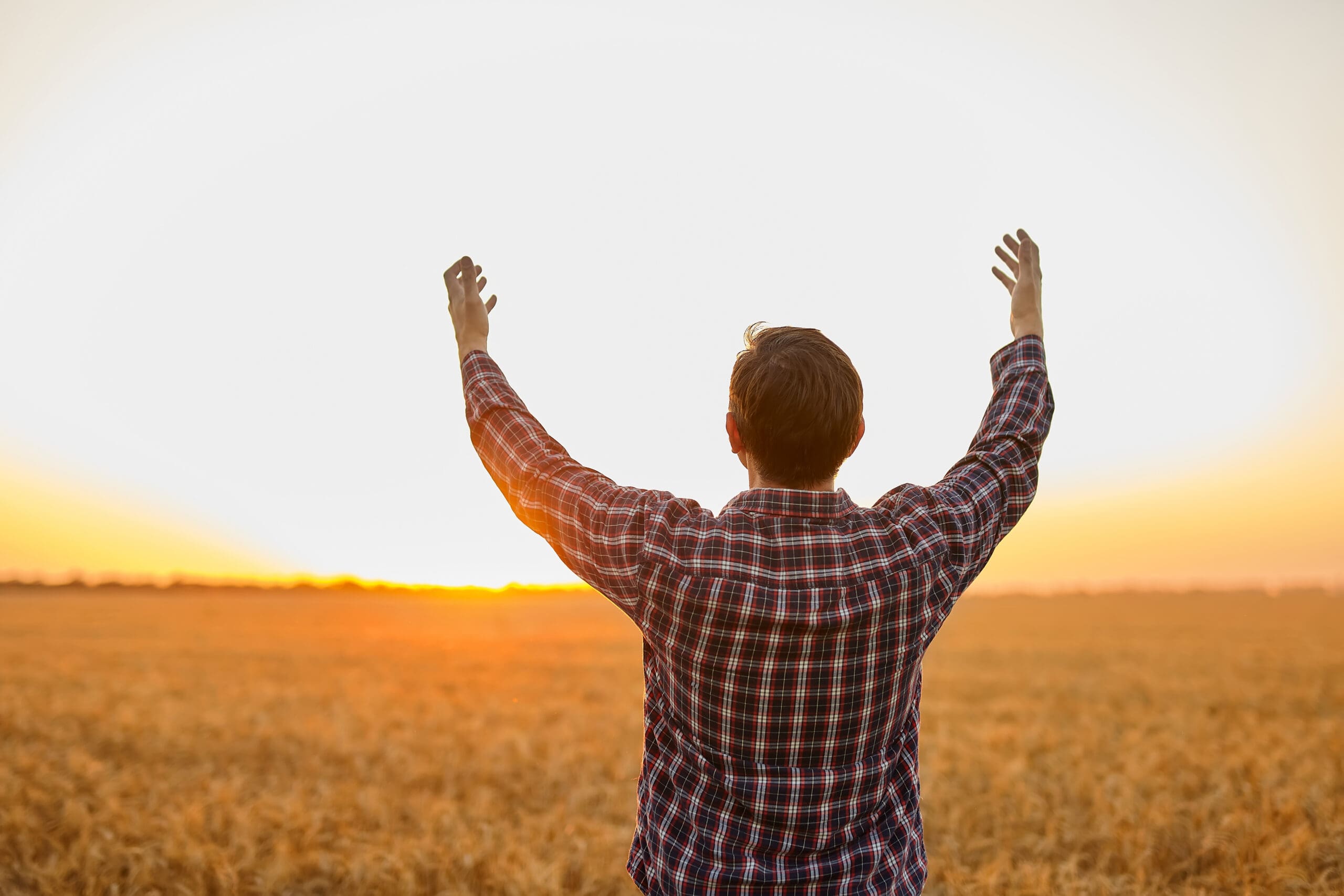 Man grateful for the harvest raised his hands up in the field