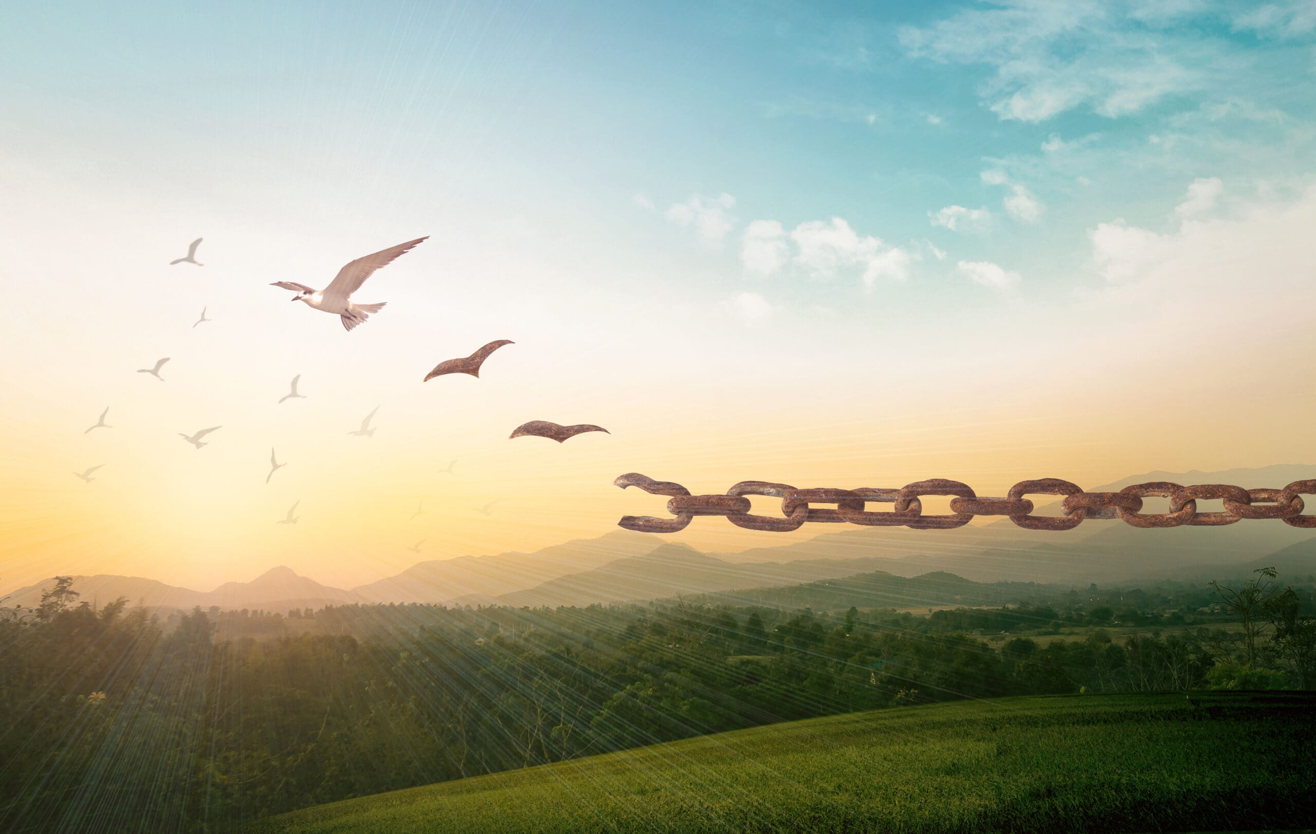 Broken chain transforming into birds flying at sunset, concept of hope, freedom, spiritual liberation and resurrection